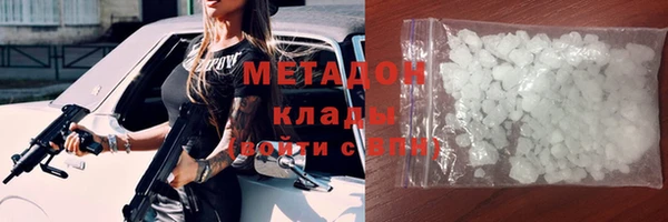 молекула духа Вяземский