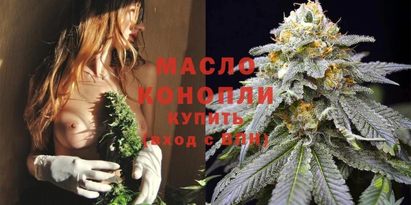 молекула духа Вяземский