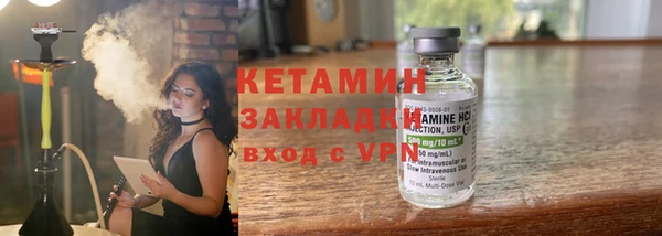 молекула духа Вяземский