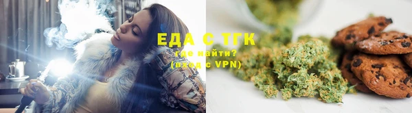 молекула духа Вяземский