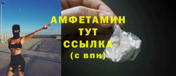 молекула духа Вяземский
