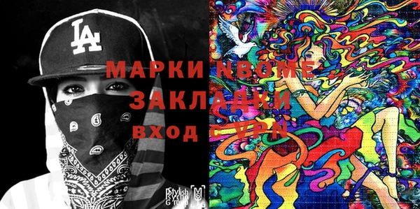молекула духа Вяземский