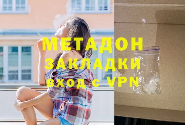 молекула духа Вяземский