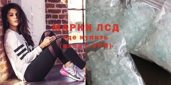 молекула духа Вяземский