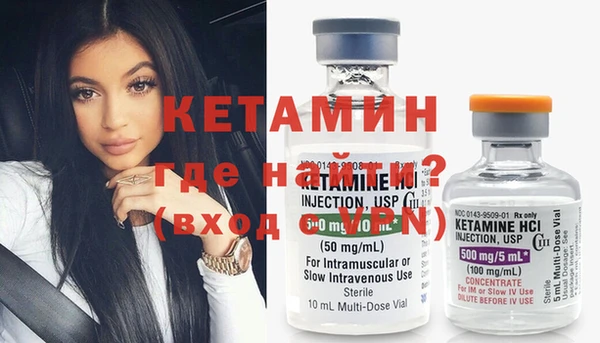 молекула духа Вяземский