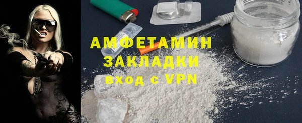молекула духа Вяземский