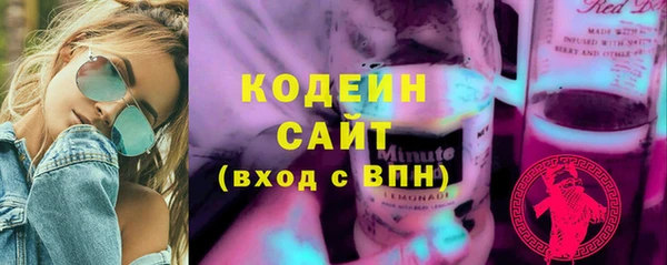 молекула духа Вяземский