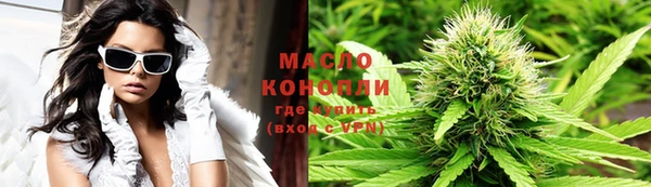 молекула духа Вяземский